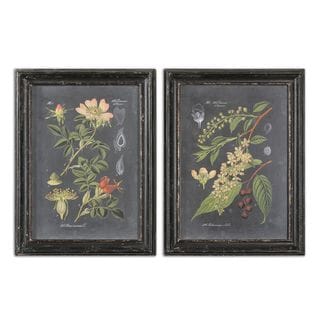 Midnight Botanicals Wall Art (Set of 2)