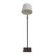 preview thumbnail 4 of 4, Piper Reader Lamp