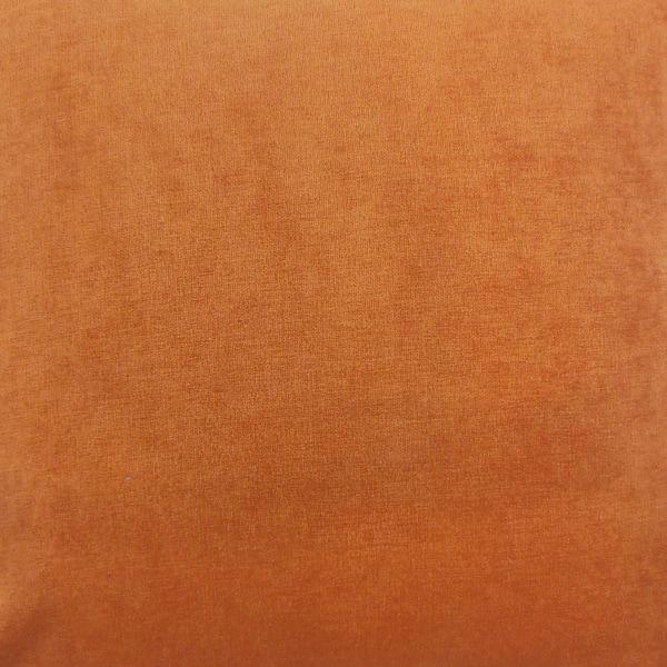 Ginger The Pillow Collection P18-BAR-M9583-GINGER-P91N9 Xyla Solid Pillow