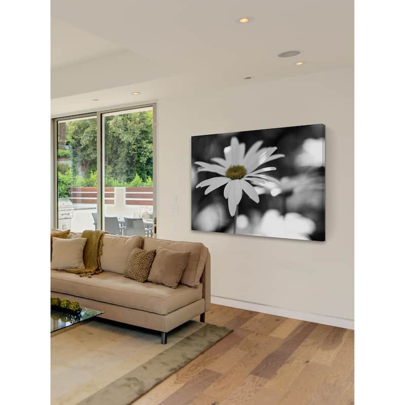 Marmont Hill - Sun Speckled Daisy Painting Print on Canvas - Multi-Color