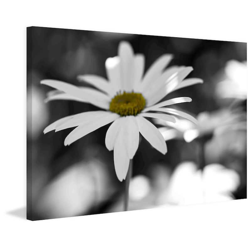 Marmont Hill - Sun Speckled Daisy Painting Print on Canvas - Multi-Color