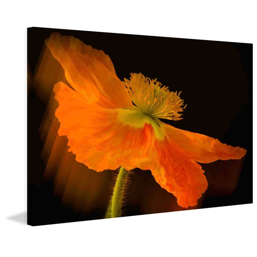 Marmont Hill - Dramatic Orange Poppy Painting Print on Canvas