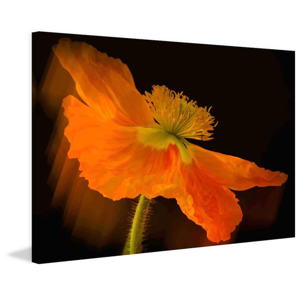 Marmont Hill - Dramatic Orange Poppy Painting Print on Canvas