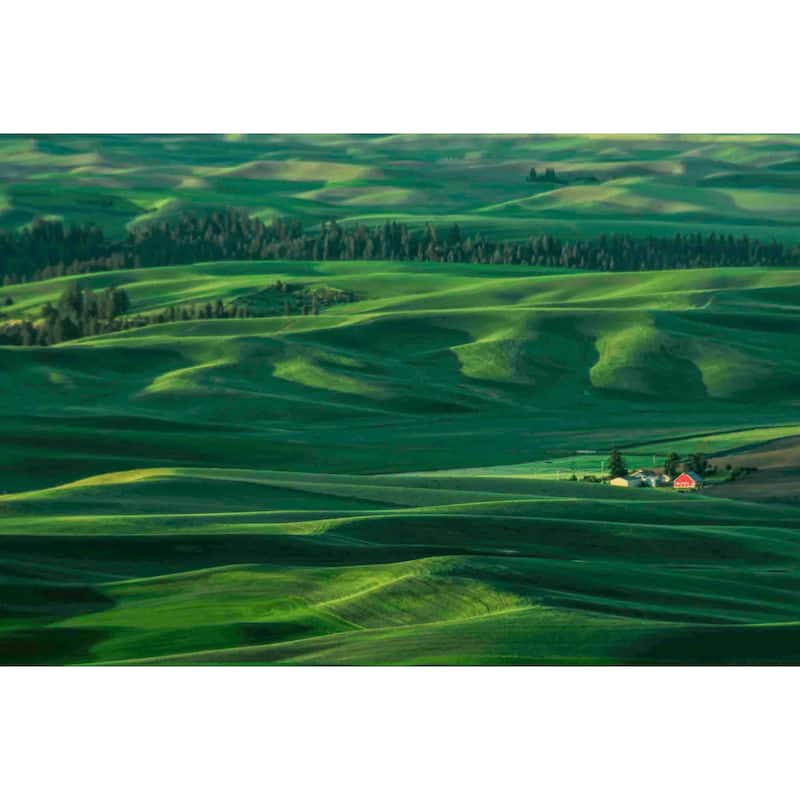 Marmont Hill - Red Barn in the Morning Light Painting Print on Canvas - Multi-Color