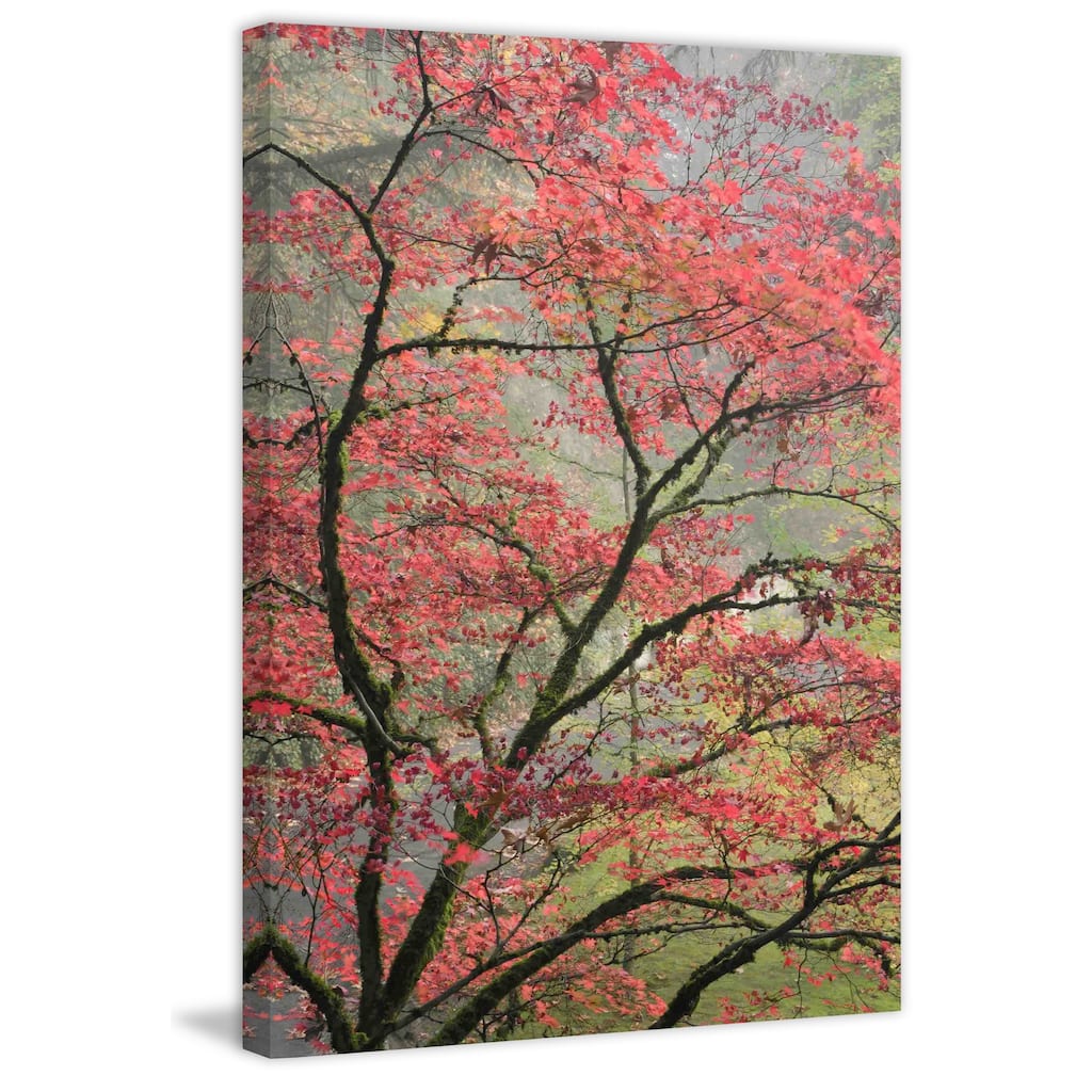 Marmont Hill - Red Zen Painting Print on Canvas - Multi-Color