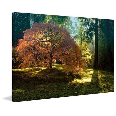 Marmont Hill - Handmade in the Gentle Autumn Light Painting Print on Canvas