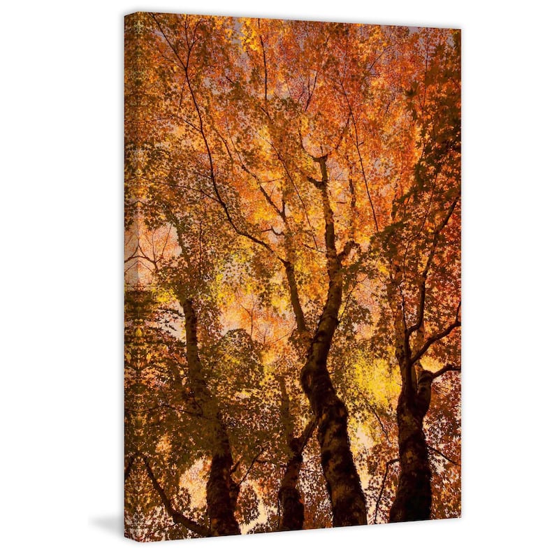 Marmont Hill - The Trees Dance Painting Print on Canvas - Multi-Color