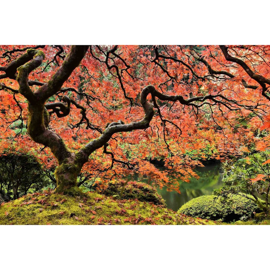 Marmont Hill - Autumn Magnificence Painting Print on Canvas - Multi-Color
