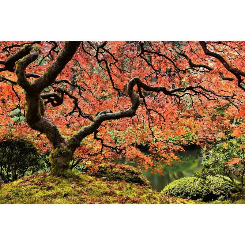 Marmont Hill - Autumn Magnificence Painting Print on Canvas - Multi-Color