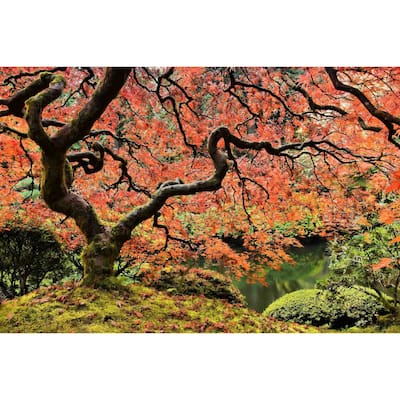 Marmont Hill - Autumn Magnificence Painting Print on Canvas - Multi-Color