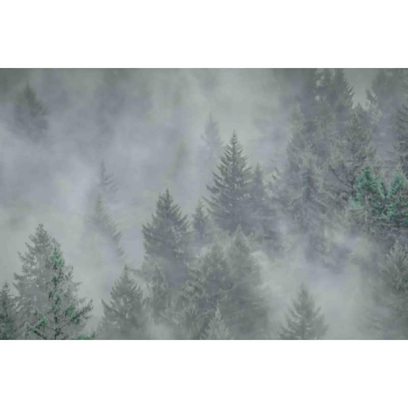 Marmont Hill - Misty Mood Painting Print on Canvas - Multi-Color