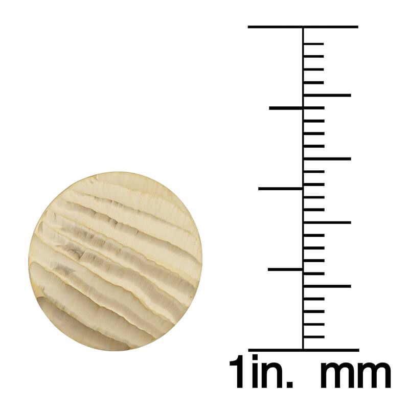 Fremada 14k Yellow Gold Ribbed Satin Disc Omega Back Earrings