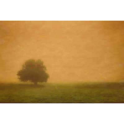 Marmont Hill - Silent and Still Painting Print on Canvas - Multi-Color