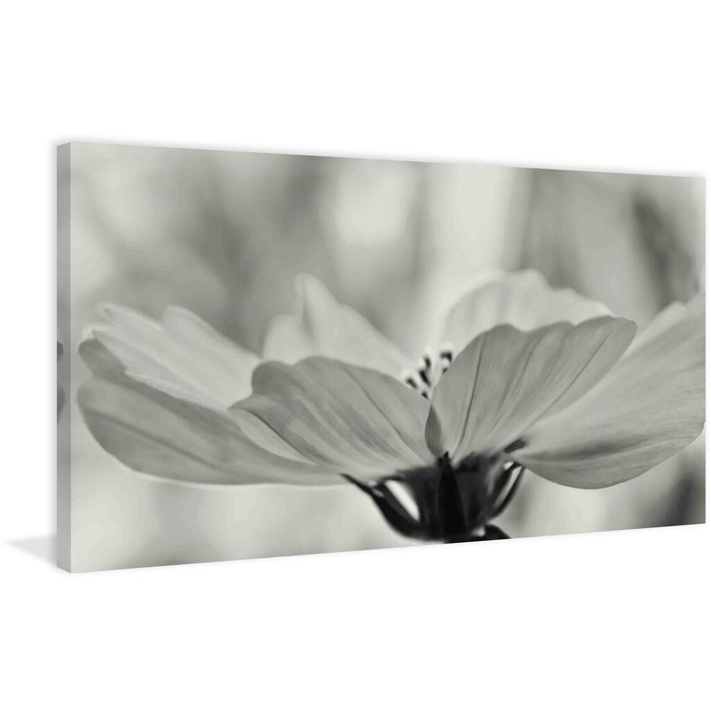 Marmont Hill - Delicate Cosmos Painting Print on Canvas - Multi-Color