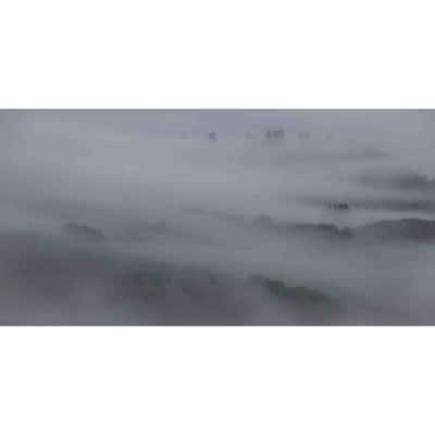 Marmont Hill - Peeking Through the Mist Painting Print on Canvas - Multi-Color
