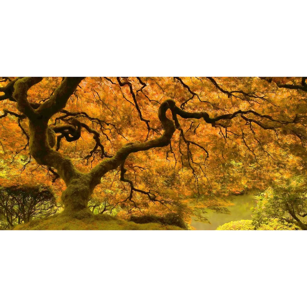 Marmont Hill - Golden Maple Painting Print on Canvas - Multi-Color