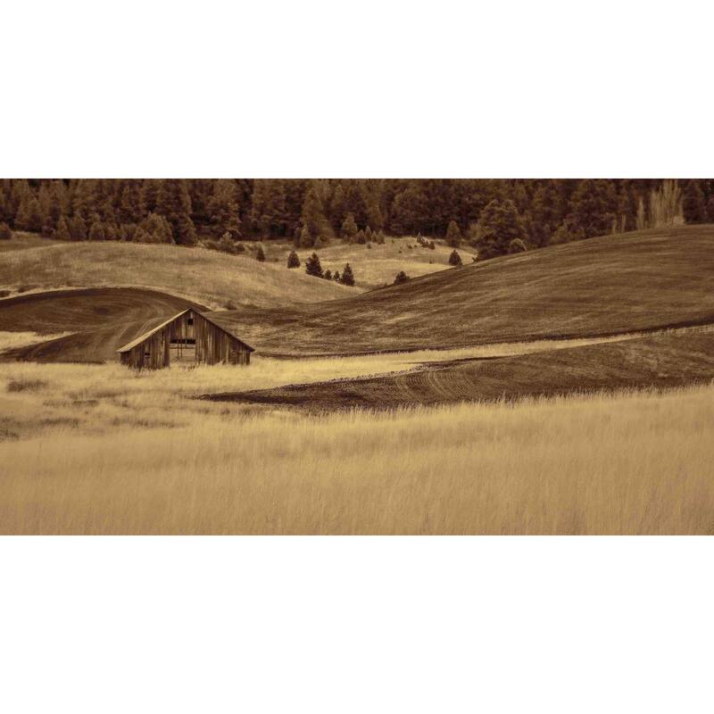 Marmont Hill - Brown Barn in the Blonde Grasses Painting Print on Canvas - Multi-Color