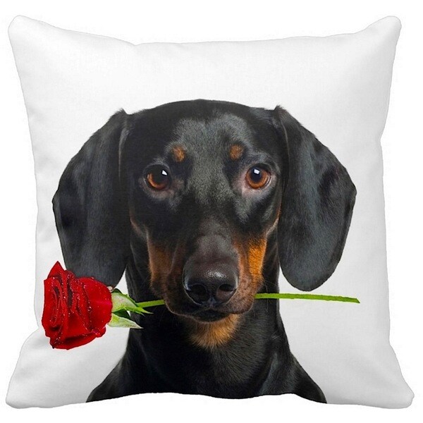 Valentine's Dachshund Black With a Rose 16-inch Throw Pillow
