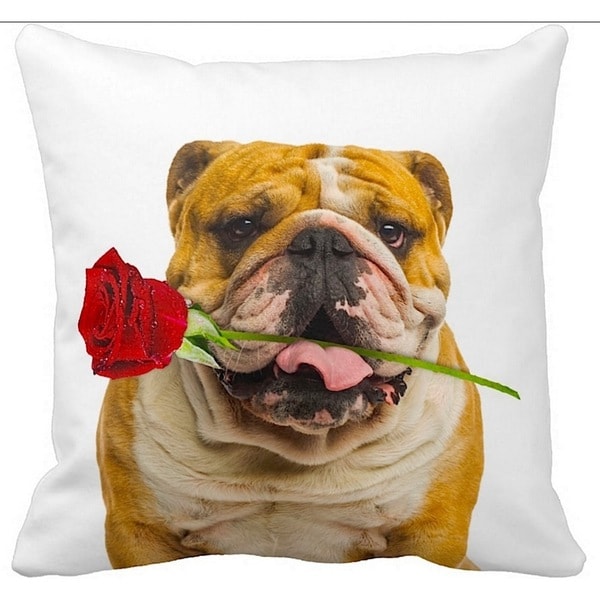 british bulldog pillow