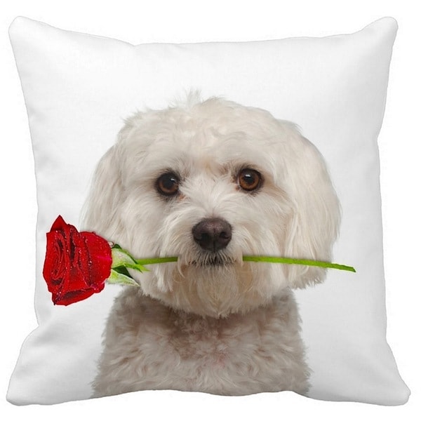 maltese pillow