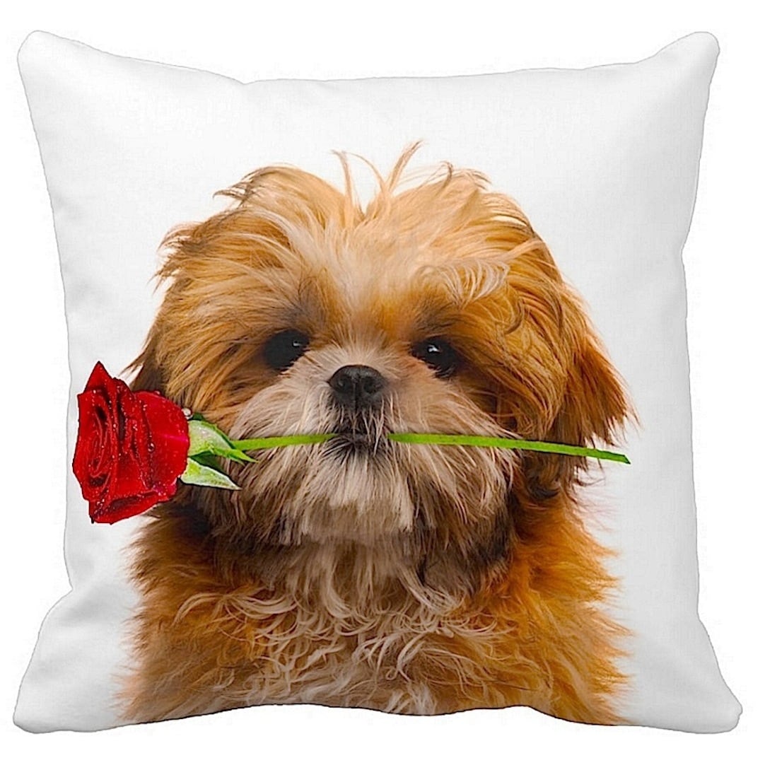 shih tzu throw pillows