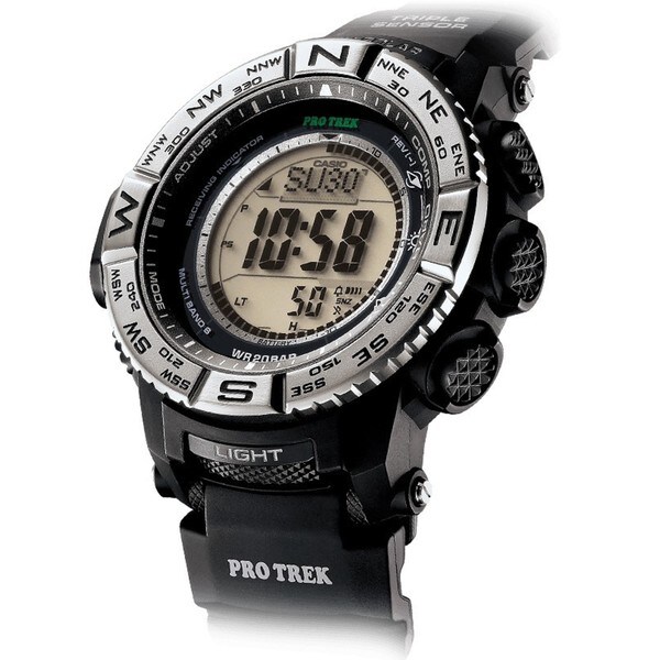 casio a494