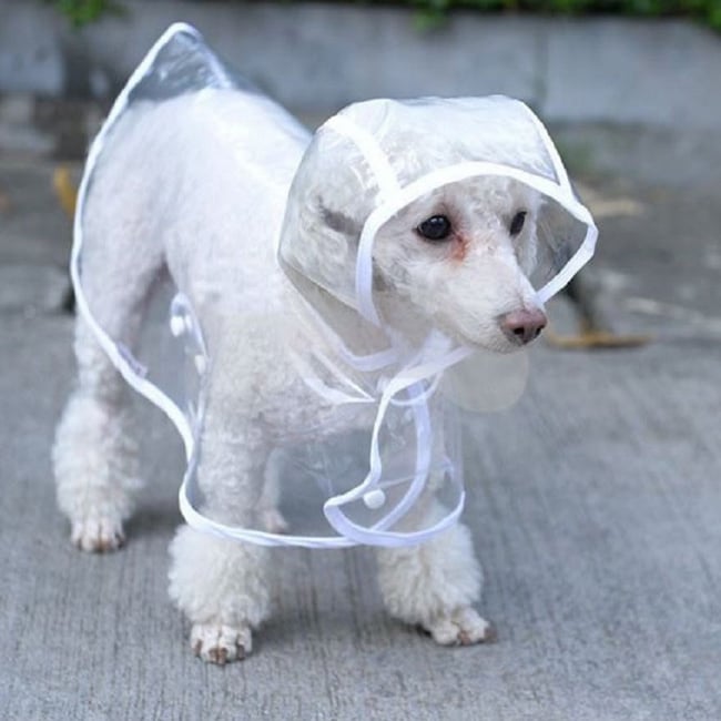 dog rain jacket with hood