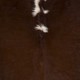 preview thumbnail 9 of 17, Hand Crafted Balanchine Hair On Hide Area Rug