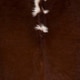 preview thumbnail 16 of 17, Hand Crafted Balanchine Hair On Hide Area Rug