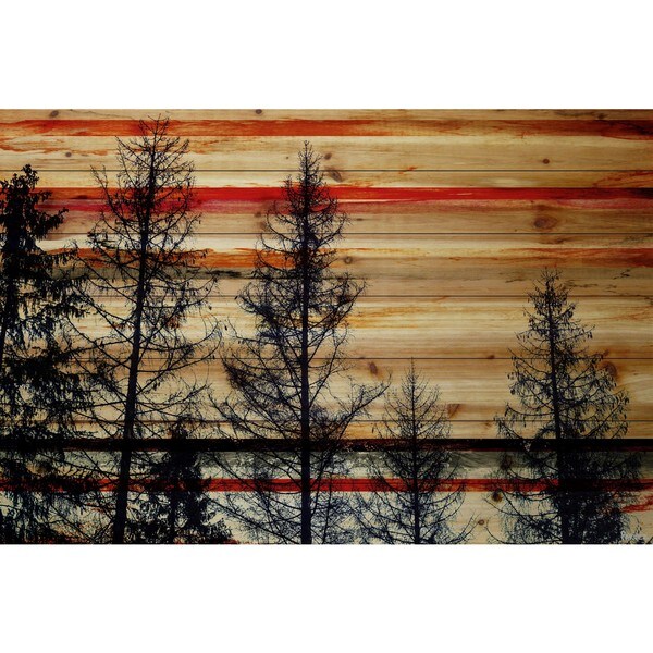 Parvez Taj - 'Trees Against Red Sky' Painting Print on Natural Pine Wood