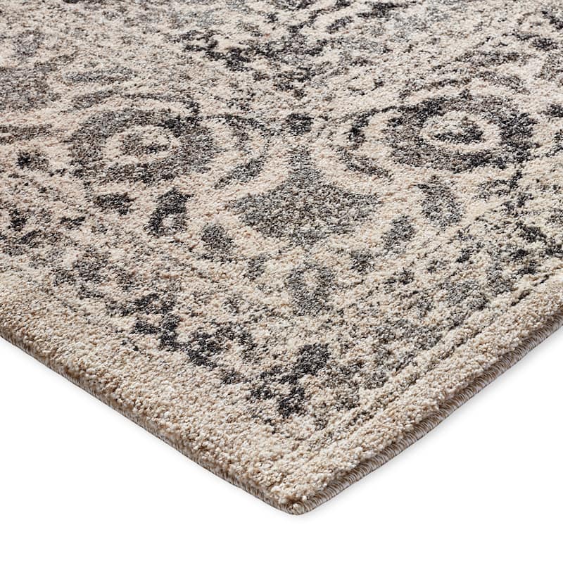 Alexander Home Brentley Traditional Distressed Medallion Area Rug