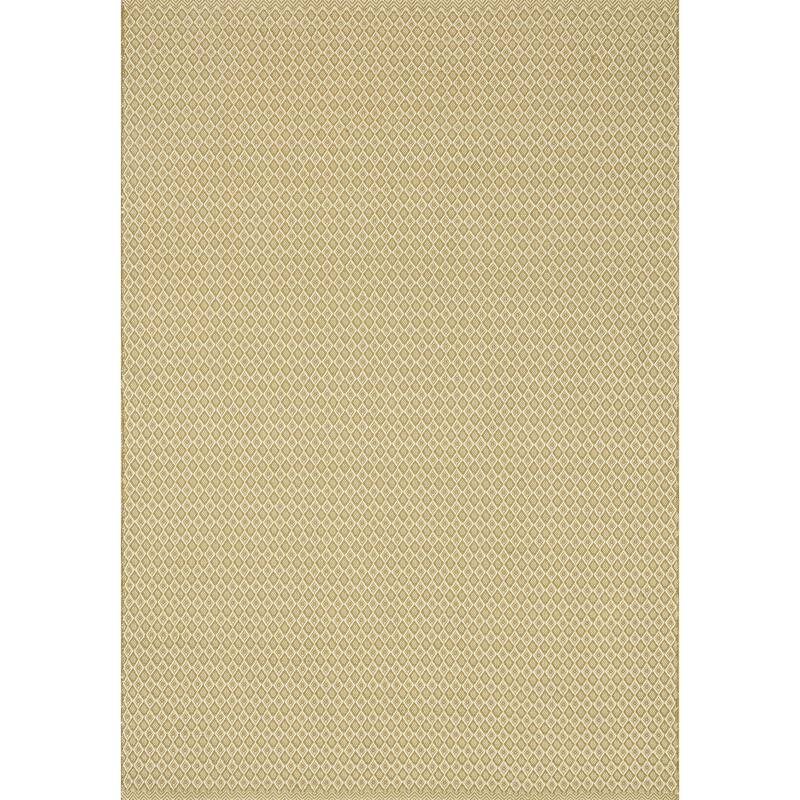 Indoor/ Outdoor Earth Tone Flatweave Goldenrod Rug