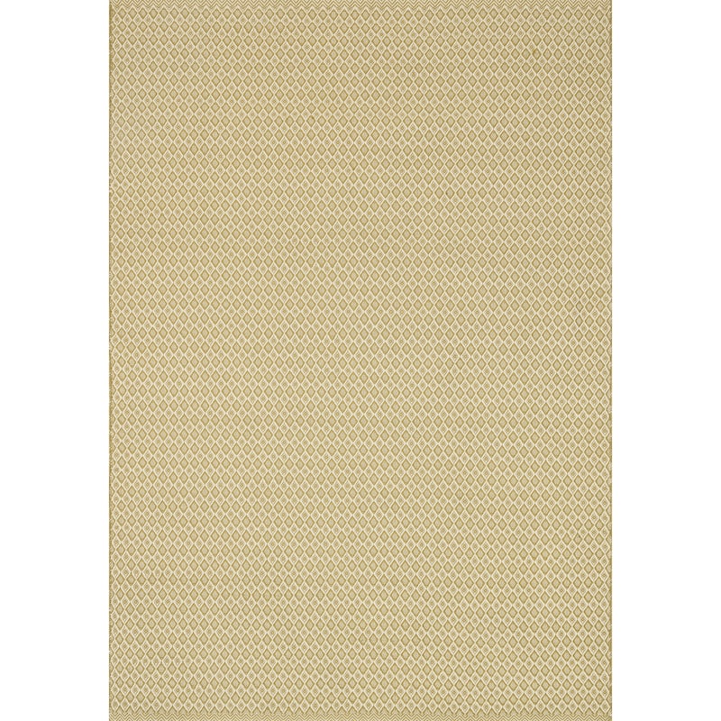 Indoor/ Outdoor Earth Tone Flatweave Goldenrod Rug