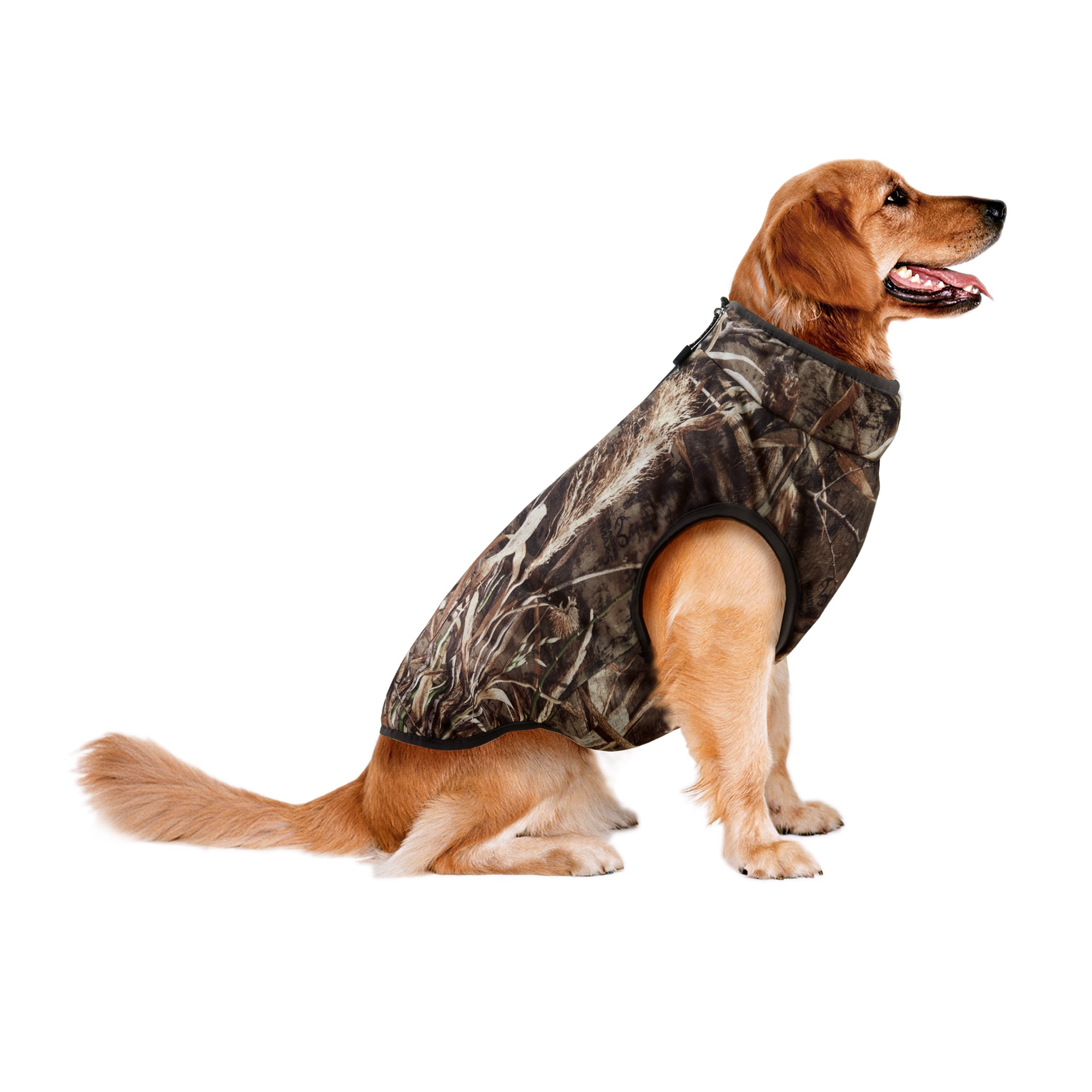 track and tail dog jacket