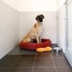 preview thumbnail 5 of 5, P-Tex | Dog Crate Floor Protection Mat | Clear Polycarbonate | Size 35" x 47"
