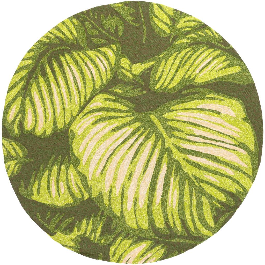 Bird Area Rug - 8' Round
