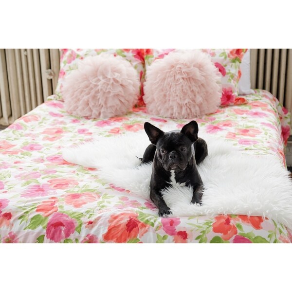 Cotton Twin Full Queen King Poppy Fritz Buffy 3 Piece Comforter