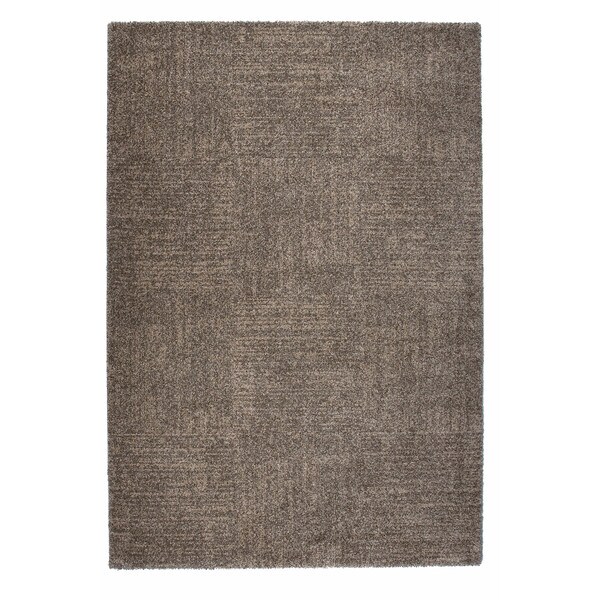 Somette Amery Collection Metallic Grey Solid Area Rug (5.3' x 7.7