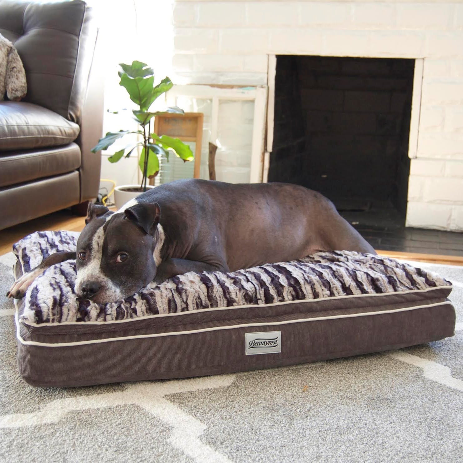 Simmons Beautyrest Luxe Mat Plus Rectangular Orthopedic Memory