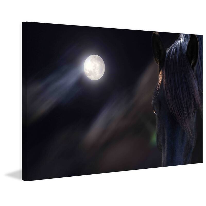 Marmont Hill - 'Circle of Life' by Michael Woodward Painting Print on Canvas - Multi-Color