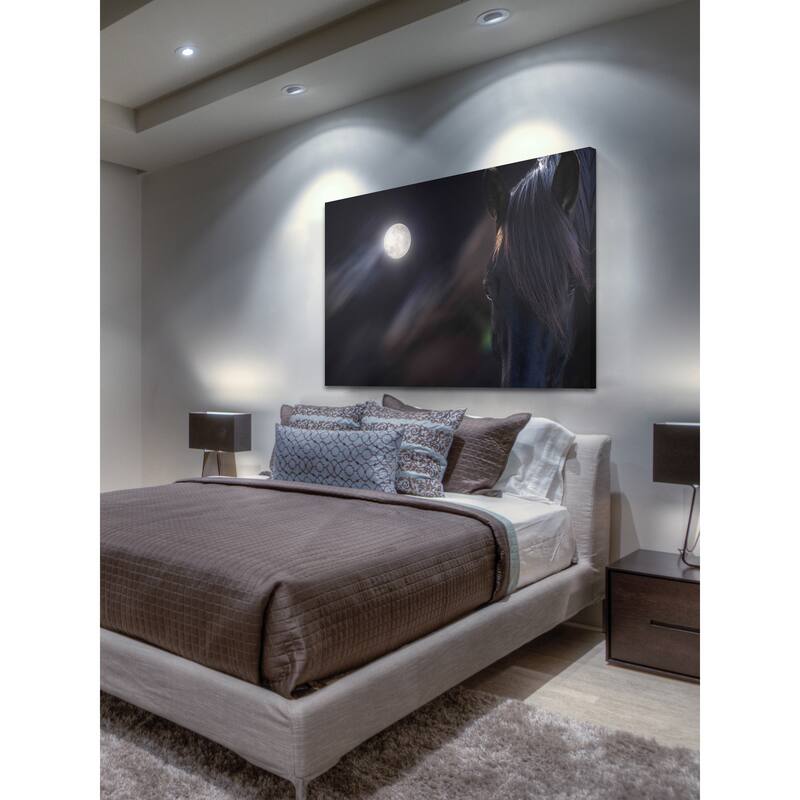 Marmont Hill - 'Circle of Life' by Michael Woodward Painting Print on Canvas - Multi-Color