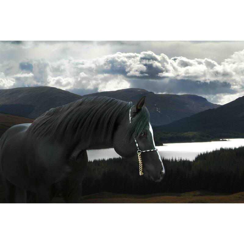 Marmont Hill - 'Solitude and Wander' Michael Woodward Painting Print on Canvas - Multi-Color