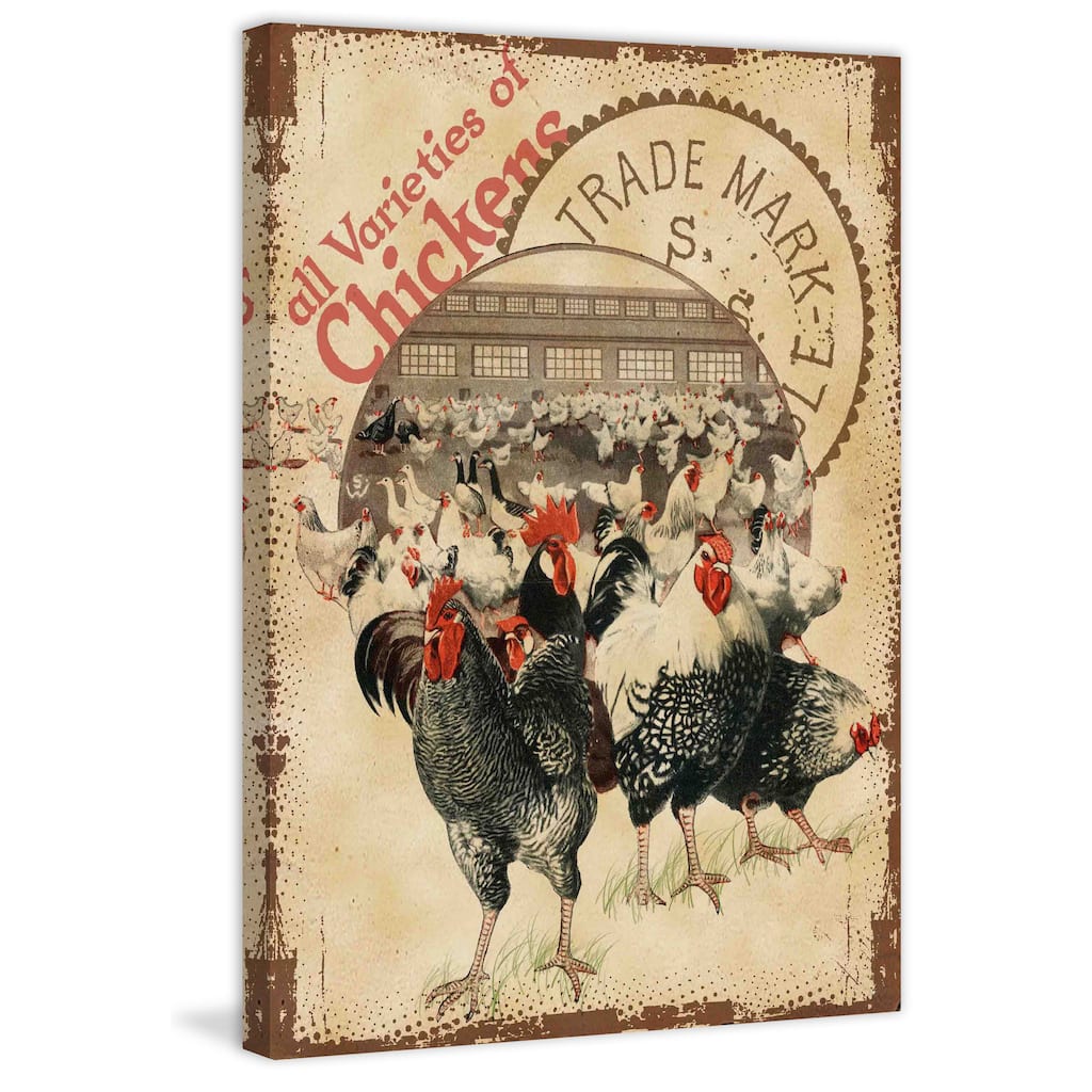 Marmont Hill - 'Chicken Varieties' Painting Print on Canvas - Multi-Color
