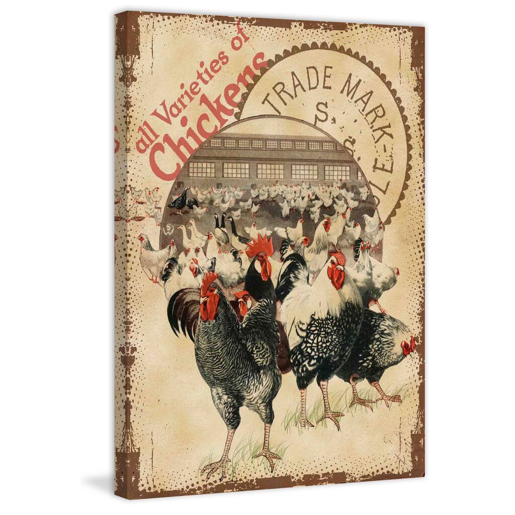 Marmont Hill - 'Chicken Varieties' Painting Print on Canvas - Multi-Color