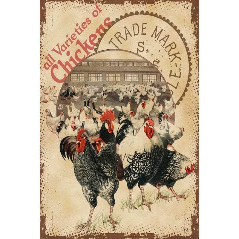 Marmont Hill - 'Chicken Varieties' Painting Print on Canvas - Multi-Color