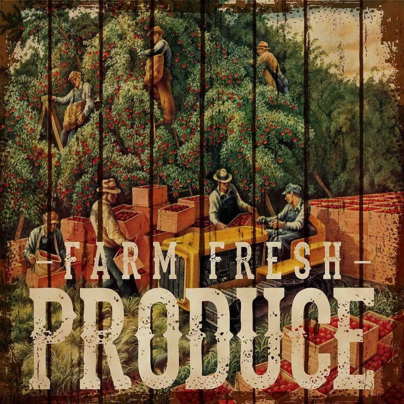 Marmont Hill - Multi-Color