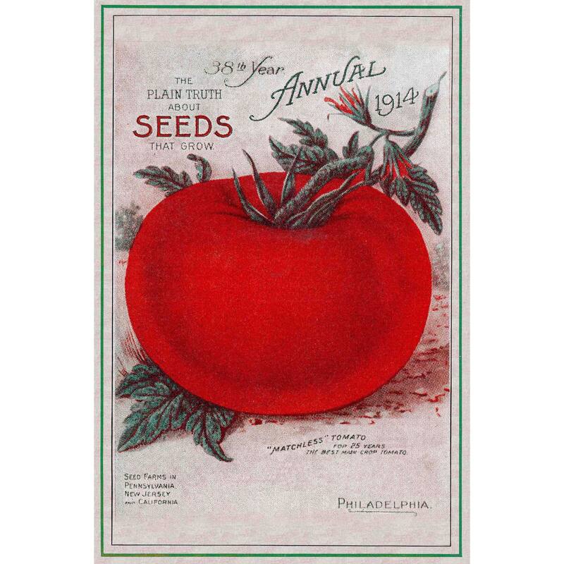 Marmont Hill - 'Tomatoes' Painting Print on Canvas - Multi-Color