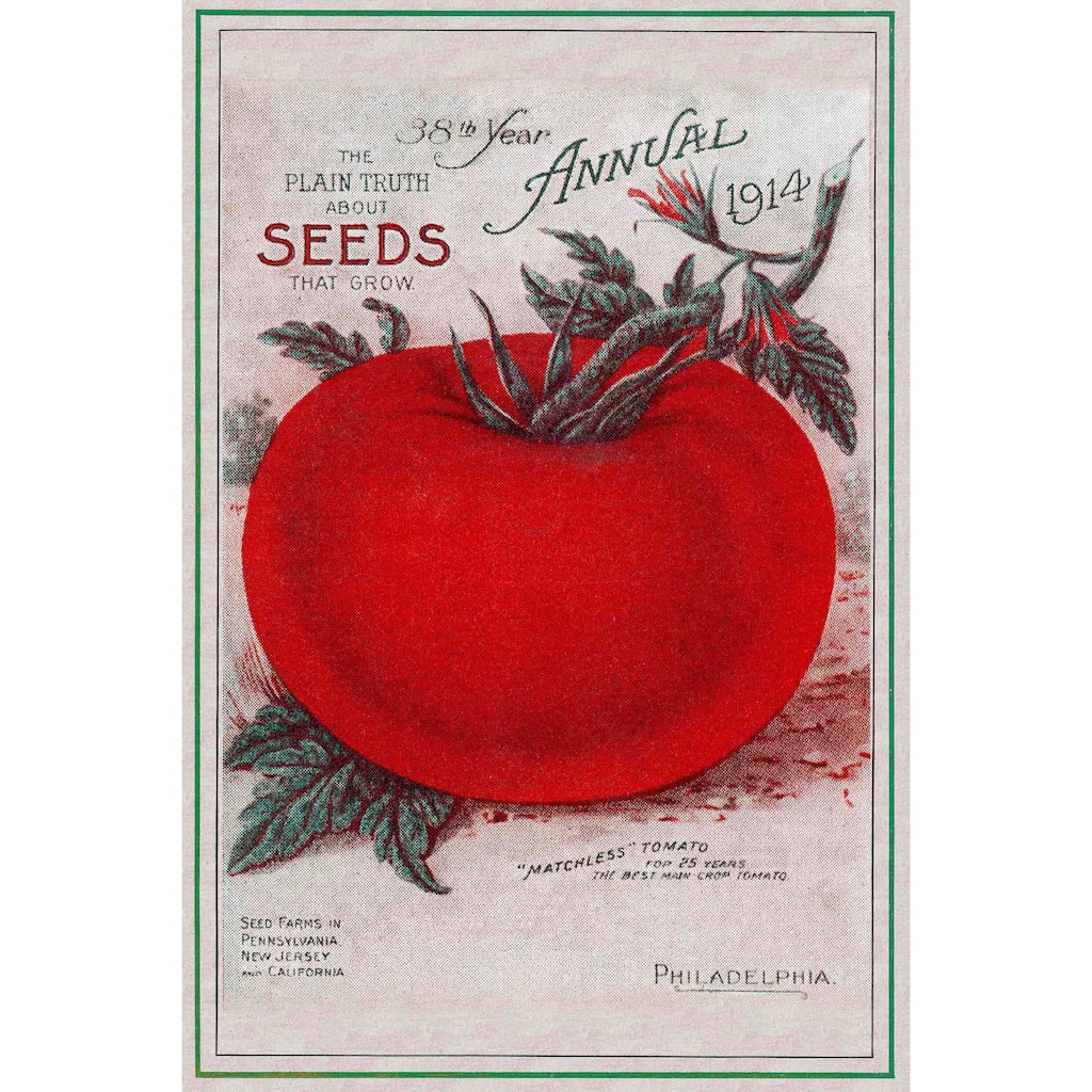 Marmont Hill - 'Tomatoes' Painting Print on Canvas - Multi-Color