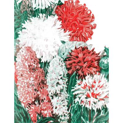 Marmont Hill - 'Seeds Flowers' Painting Print on Canvas - Multi-Color