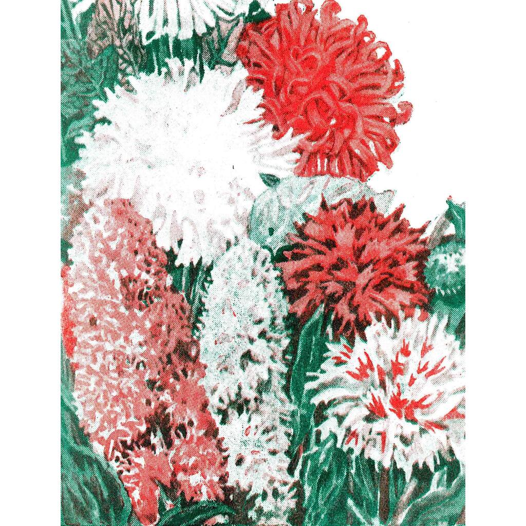 Marmont Hill - 'Seeds Flowers' Painting Print on Canvas - Multi-Color